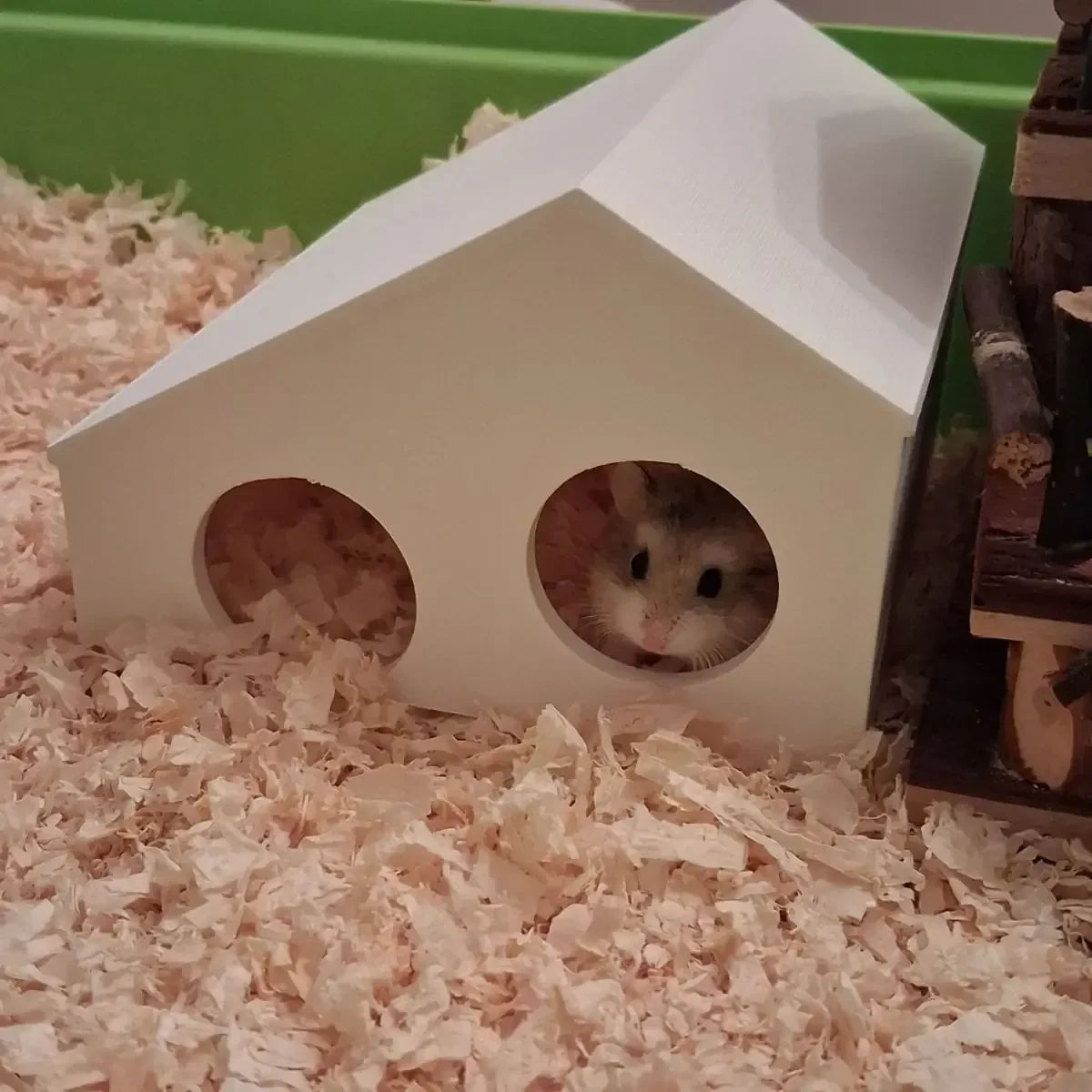 Hamster House STL - 3D model
