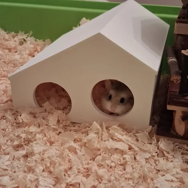 Hamster House STL 3D model by admine
